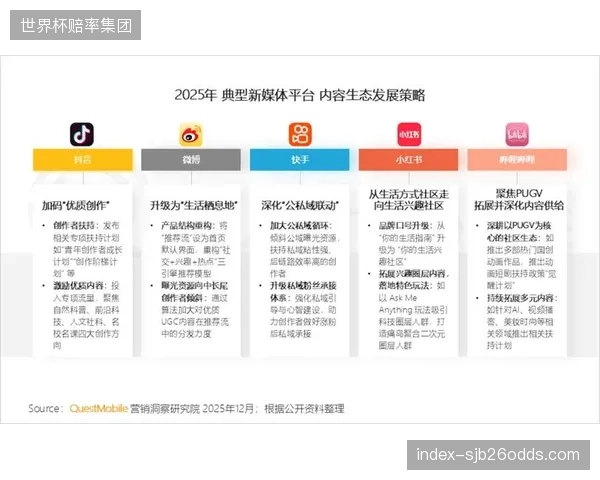 调整窗口内容生态精细化 满足用户个性化需求